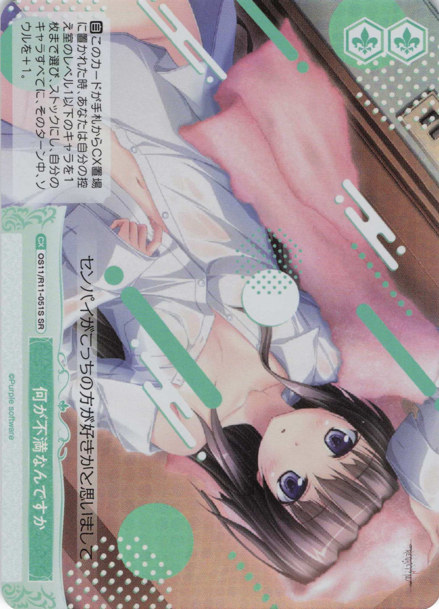 何が不満なんですか(SR)(OS11/R11-051S)